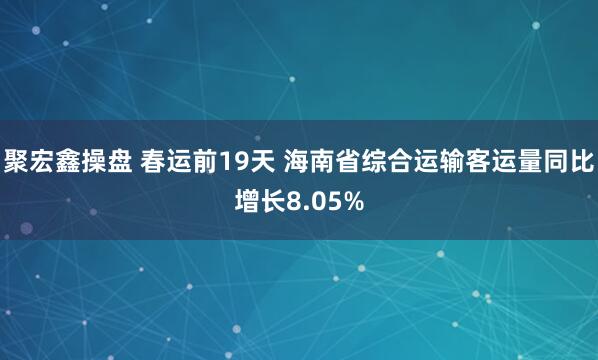 聚宏鑫操盘 春运前19天 海南省综合运输客运量同比增长8.05%