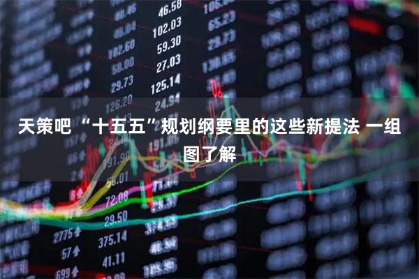 天策吧 “十五五”规划纲要里的这些新提法 一组图了解