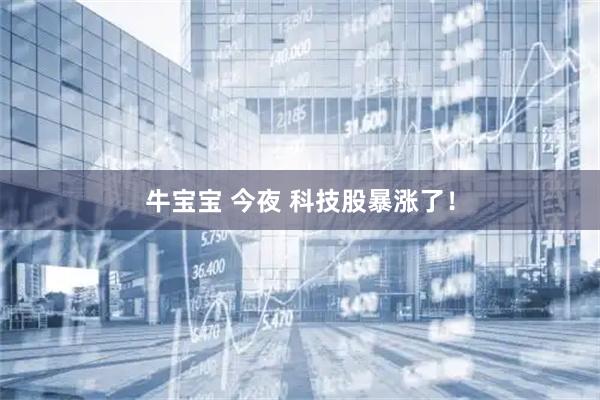 牛宝宝 今夜 科技股暴涨了！