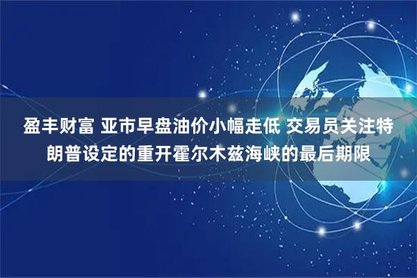 盈丰财富 亚市早盘油价小幅走低 交易员关注特朗普设定的重开霍尔木兹海峡的最后期限