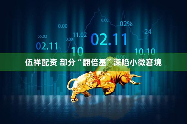 伍祥配资 部分“翻倍基”深陷小微窘境
