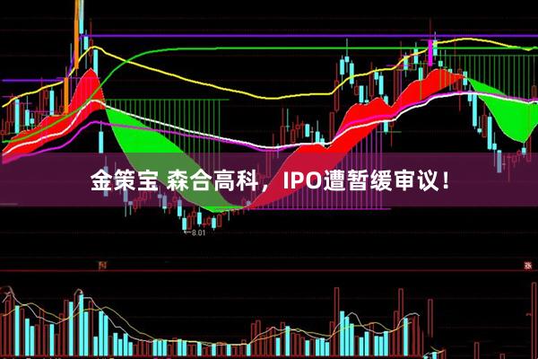 金策宝 森合高科,IPO遭暂缓审议!