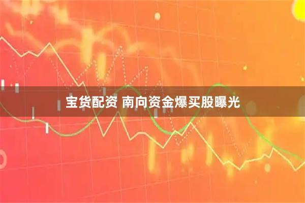 宝货配资 南向资金爆买股曝光