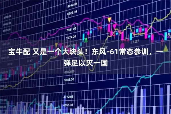 宝牛配 又是一个大块头!东风-61常态参训,一弹足以灭一国