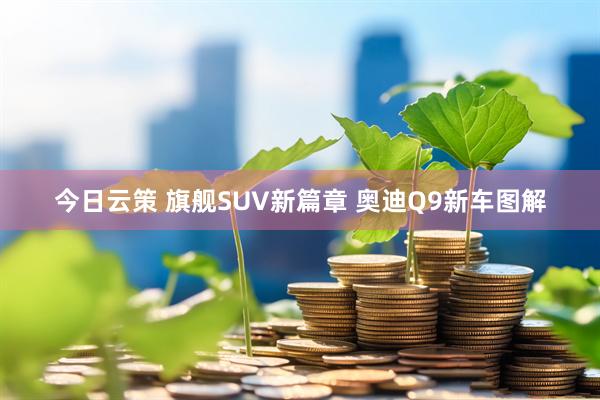 今日云策 旗舰SUV新篇章 奥迪Q9新车图解